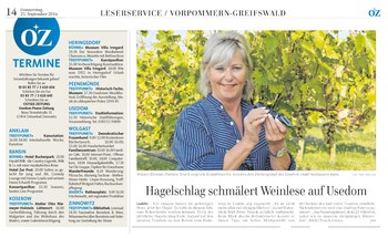 Hagelschlag schmälert Weinlese auf Usedom